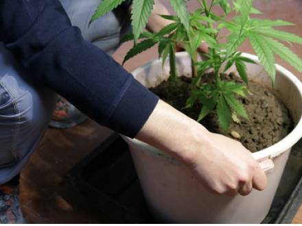 Naperville, IL drug crimes defense attorney