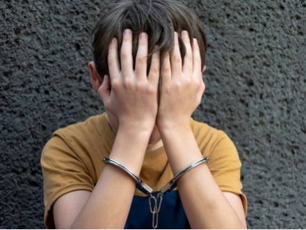 Naperville, IL criminal defense lawyer